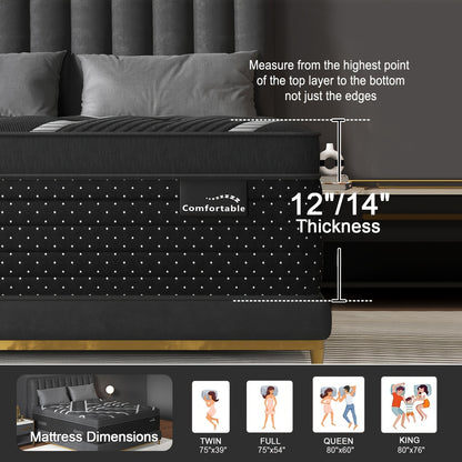 12/14 Inch Gel Memory Foam Hybrid Mattress Twin Full Queen King Sizes Mattress Bed In A Box, Euro Top Medium Firm for Back & Lumbar Support, Individual Pocket Spring Bed for Motion Isolation & Fiberglass Free