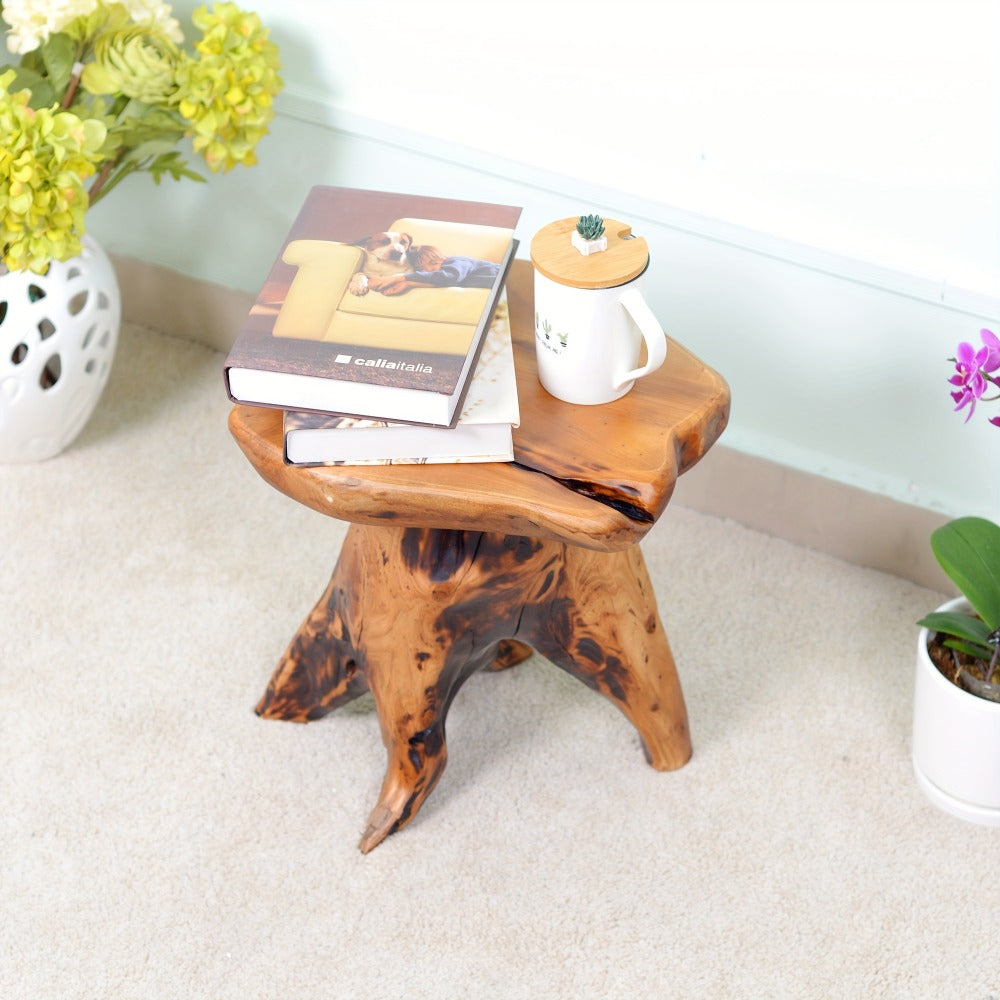 Natural Edge Cedar Wood Tree Stump Stool & Side Table – Solid Fir Wood Mushroom End Table for Indoor & Outdoor, Garden, Living Room, Bedroom, Restaurant, 280 LB Capacity, Rustic Boho Decor