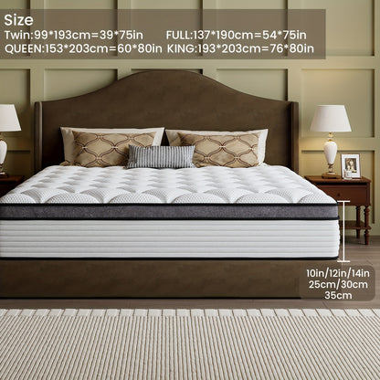 Queen Size Mattress | Independent Pocket Coil & Memory Foam | Boxed Compressed Delivery 10/12/14 Inches Twin, Full, Queen, King