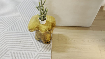 Natural Edge Cedar Wood Tree Stump Stool & Side Table – Solid Fir Wood Mushroom End Table for Indoor & Outdoor, Garden, Living Room, Bedroom, Restaurant, 280 LB Capacity, Rustic Boho Decor