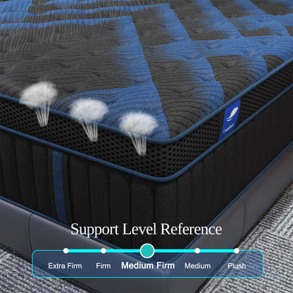 [Gel Memory Foam Mattress] 12/14 Inch Gel Memory Foam Mattress Hybrid Pocket Spring Twin Full Queen King Bed Mattress In A Box, Euro Top Medium Firm for Back & Lumbar Support, Individual Pocket Spring Bed for Motion Isolation & Fiberglass Free
